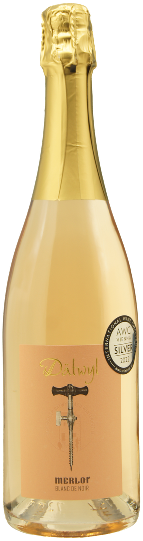 2024 Winzersekt Merlot blanc de noir brut